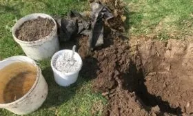 подготовка участка под посадку яблони Аркадик