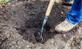 подготовка ямы под посадку яблони Имрус