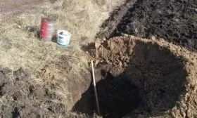 подготовка ямы под посадку яблони Пепин шафранный