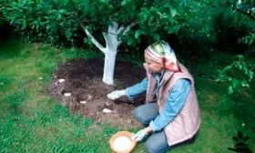 Подкормка яблоня Услада