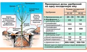 Подкормки Коричное полосатое
