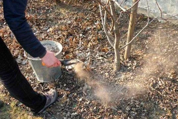 Подкормки яблони Орловим7