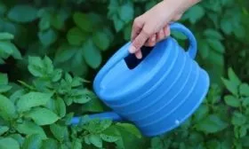 полив картофеля Иван-да-Марья