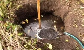 полив яблони Джеромини