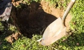 посадочная яма для яблони Лобо