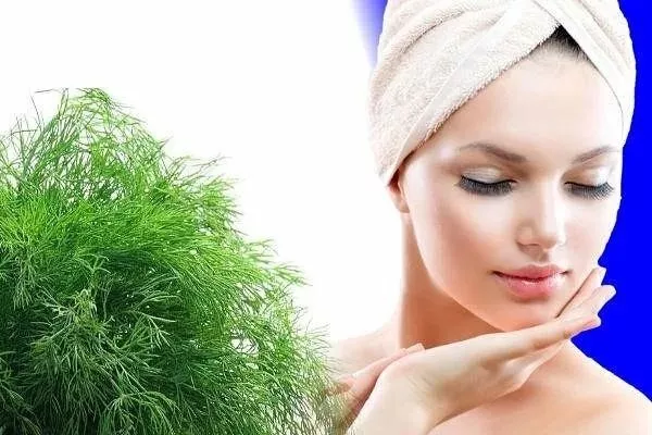 применение укропа Геркулес в косметологии