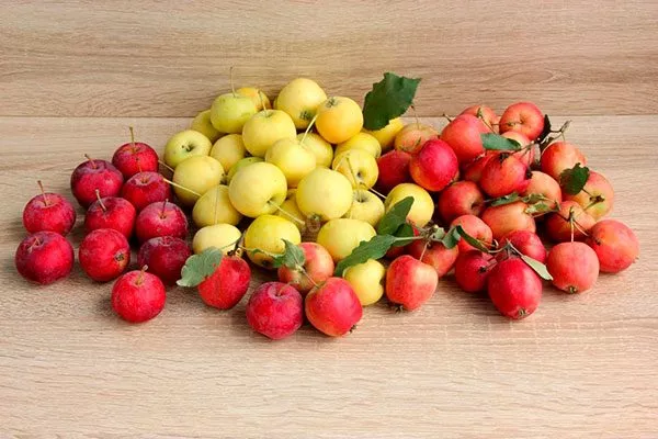 Ранетка урожайность