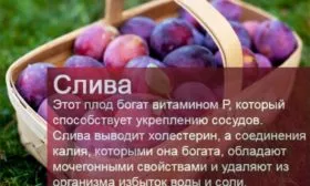 чем полезна слива Скороплодная