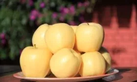 сочные яблоки сорта Медок