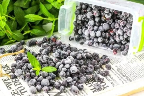 замороженная черника Топ Хат