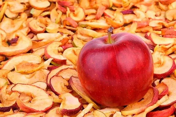 Яблоня Ред Делишес: американский классик