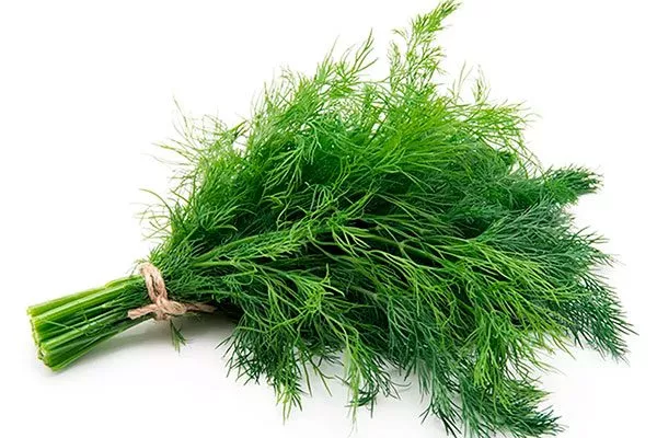 Укроп Карлик пучок