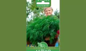 Укроп Леший описание