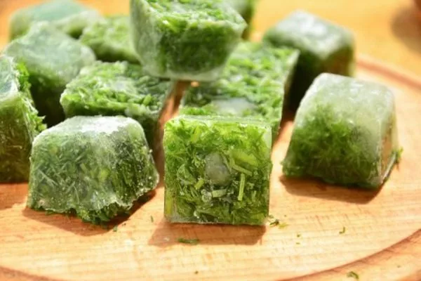 замороженный укроп Лесногородский