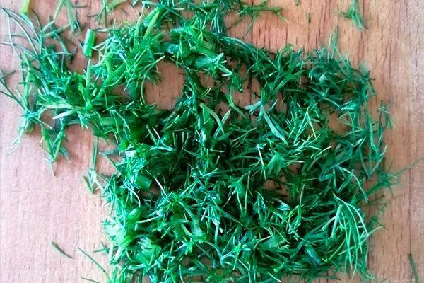 Укроп Обильнолистный применение