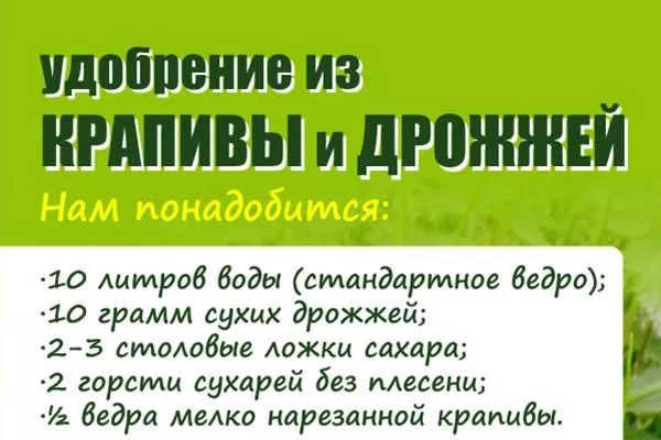 удобрение для укропа Владыка