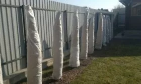 укрытие яблони Аркадик на зиму