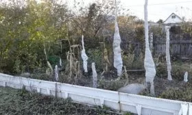 укрытие яблони Президент на зиму