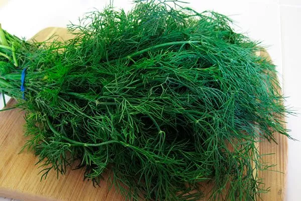 Вкус и применение укропа Мамонт1