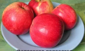 Вкус яблонb Орловское полосатое4