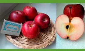 вкус яблони Пепин шафранный3