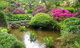 оформление сада в японском стиле, пруд и декоративная яблоня