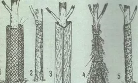 утепление яблони Уэлси на зиму