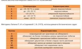 таблицы оценки морозостойкости садовых деревьев