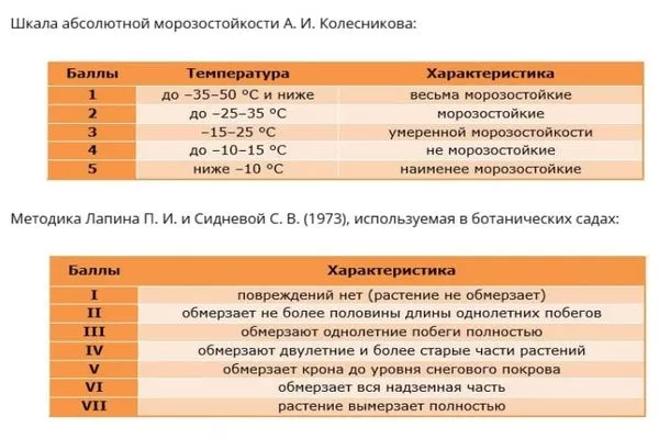таблицы оценки морозостойкости садовых деревьев