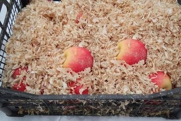 хранение яблок Хани крисп в опилках