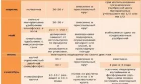 схема внесения удобрений для яблони Весеннее
