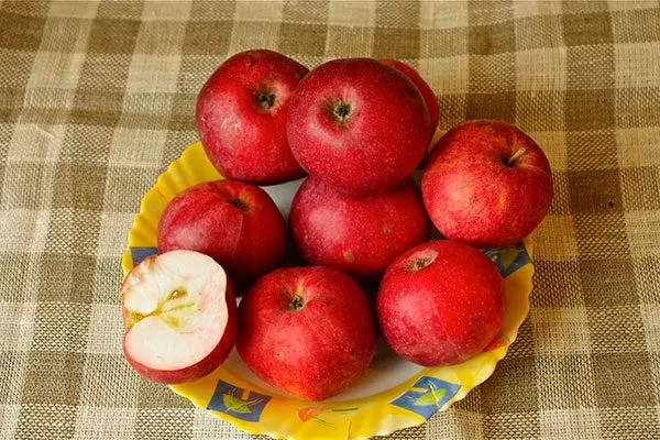 яблоня Белорусское сладкое вкус и назначение