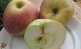 Яблоня Конфетное вкус 2