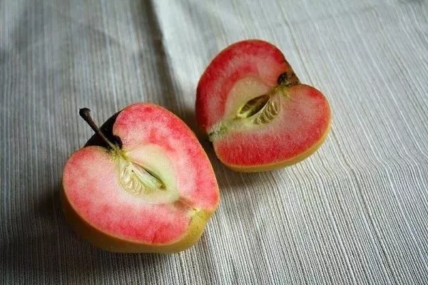 яблоня Пинк Пёрл