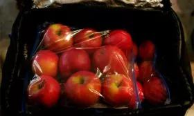 Яблоня Устойчивое хранение в пакетах