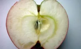 Яблоня Звёздочка вкус