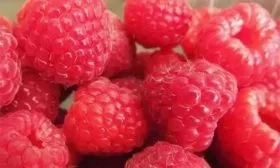 ягоды малины Мария