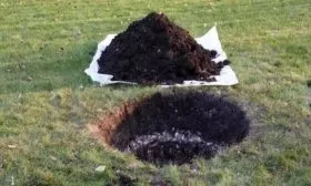 яма для посадки яблони Чёрный бриллиант