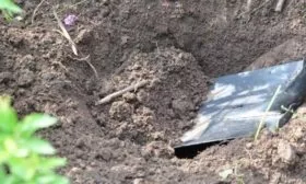 яма для посадки яблони Символ