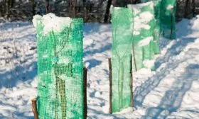 Защита от мороза