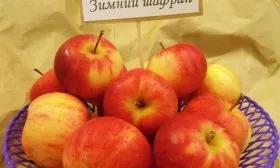 Зимний шафран