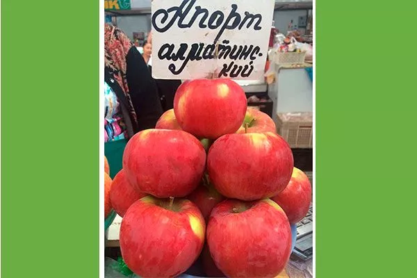 Яблоня Апорт: старинный гигантский