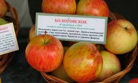 Болотовское