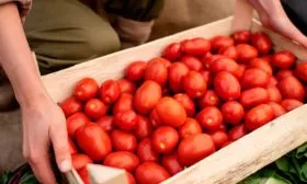 cEDBp6hXClI Сызранская пипочка1