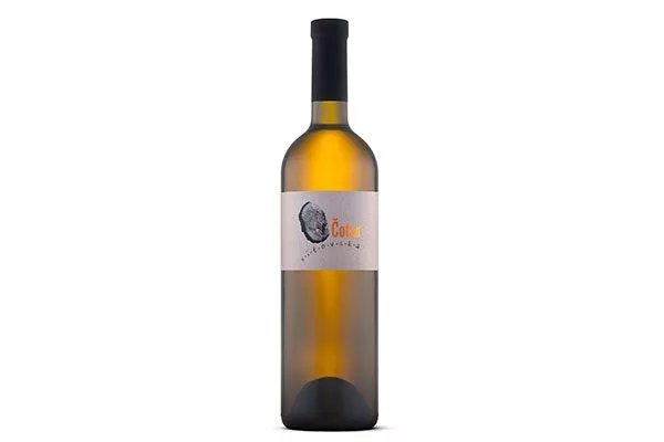 Cotar, Malvazij винограда Мальвазия1