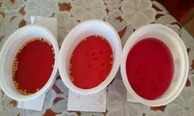 Дезинфекция томаты Чудо Света3