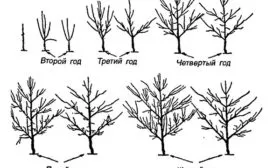 Формирующая