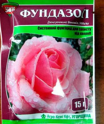 Фундазол пиона Йеллоу Краун18