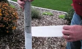 утепление груши Дюймовочка на зиму