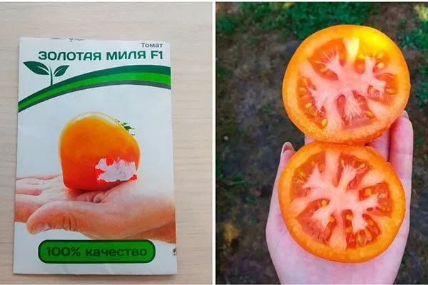 характеристики томатов Золотая миля17